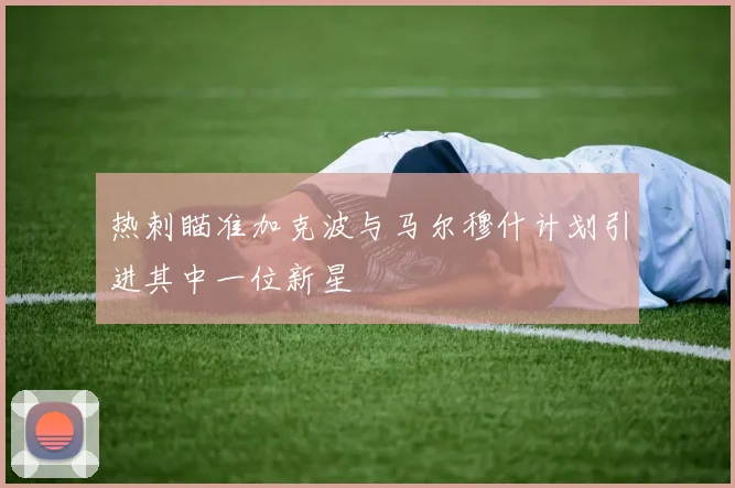 热刺瞄准加克波与马尔穆什计划引进其中一位新星